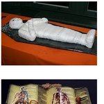 [이유있는] 먹고싶지 않은 특이한 <b>케익</b>들