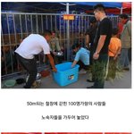 [이유있는] 대륙의 노숙자 <b>동물원</b>