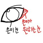 [조언부탁해] 나 눈이 콤플렉스라 성형하고싶은데
