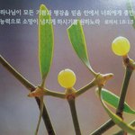 사랑합니다