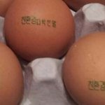 [EXO] 내일쌍수상담하러서울가는데