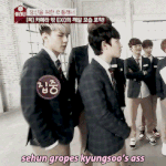 [팬픽] 됻옹)내생각에 됻옹이 흥하는 이유