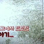 [<b>엽호</b>팔이녀] 청운고에서 실제로 있었던 이야기