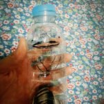 [드루와] 아빠가 <b>저금통</b>만들어줌ㅋㅋㅋㅋ어때?