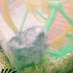 [신떡이네] <b>햄스터</b> 삐졌는데 어떻게 풀어줘야 좋을까요