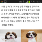 [EXO] 미친 강아지 <b>성형</b>도있데