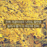 <b>환장</b>하는 맞춤법