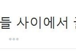 [댓글부탁해] 뷰티vs<b>판다</b> 싸움ㅋㅋㅋ