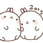 엄마사진 보니까