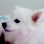 여자분들 저 어때요?