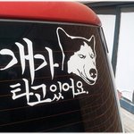 [초보운전] * 재미있는 사진 ^^ *