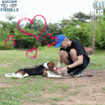 [댓글부탁해] 다정함 돋는 신인 아이돌