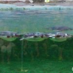 Real <b>Error</b> #code:1400