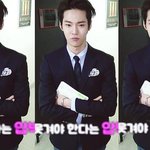 [뉴트] 탬커벨 메리뮤 앨범 삼ㅎㅎ?