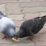 [EXO] @@@@@@현정이 <b>밀집</b>구역