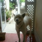 [도와주세요] <b>부산분</b>들 봐주세요 특히 송정쪽