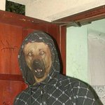 니가 여기 터줏<b>대감</b>이지?