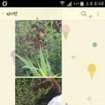 <b>포대</b>에갇혀있던 강아지