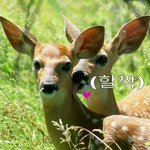 [댓글부탁] 설렘<b>일화</b> 적어줭
