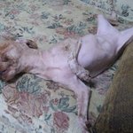 <b>코난</b>과 미란입니다