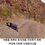 사람을 피하는 유기견을 구하는 방법