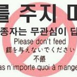 귀짤년<b>한태</b> 관심주면안됨 ㅇㅋ?