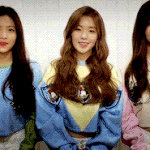 [댓글부탁해] 레드벨벳 팬들의 만행에 대해