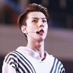 [EXO] 삐약삐약 