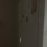 와 <b>시발</b> 이거봐 애벌레가 공중에 떠있음
