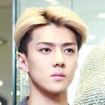 인간이길 포기한 오세훈...(전국민 투표)