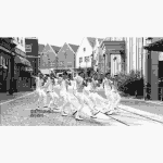 [인피니트] ㅅㄷ오 전남에서