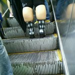 부츠가 불쌍하게 보이긴 처음이다