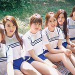 [댓글부탁해] 이번 신인상 누가 탈것같음?