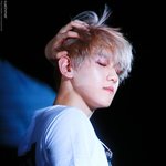 [백현] 이거 <b>심령사진</b>  누구손이야?!!