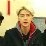 [EXO] 쇼탐 <b>재탕</b>하는데 세훈이 