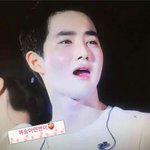 [EXO] 생각나는 과일