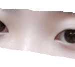 쌍수 조언좀