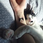 <b>집사</b>들의 깜찍한 고양이 타투