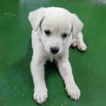 [함안길천사] 어미품이 아직도 그리운가봅니다.