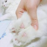 [EXO] 나대콘 좌석 그라운드로 바뀐애들아