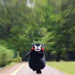 [EXO] <b>이캐릭터</b>뭐임?