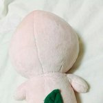 [EXO] <b>사칭</b>뇬존나발암이다