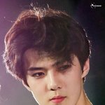 [EXO] 세훈이가 내얼굴에 <b>마구</b><b>마구</b>키스를해주면좋겠다
