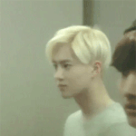 [EXO] 자꾸 분킬당해써 ㅜ 시작 안하꼬야 ㅜㅜㅜㅜ