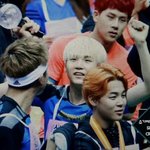 [방탄소년단] 아육대에 <b>농구</b>잘하는 강아지 한 마리가 있었다면서요...