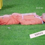 [댓글부탁해] 어제자 아육대 인피니트 만행 정리