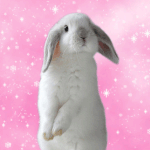 독서실다니거나 한번이라도 가본사람 클릭좀해주라ㅠㅠ 