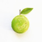 마카롱 성애자의 마카롱&amp;베이킹