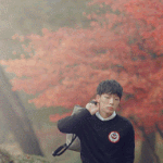 [댓글부탁해] 혹시 유씨<b>노벨</b> 하는사람있어? 추천좀해주라 