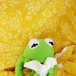 [팬픽] ㅅㄷ) 나 ㅍㅍ 쓴 거 들켰는데...